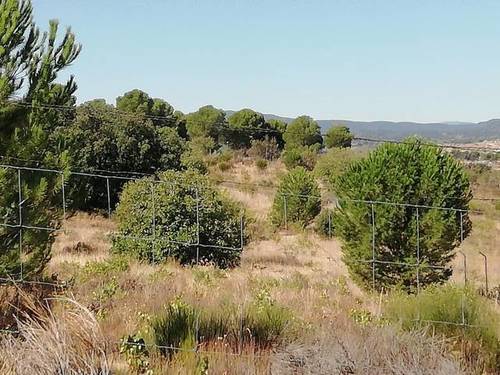 imagen 1 de Venta de finca en Cadalso de los Vidrios (Madrid)