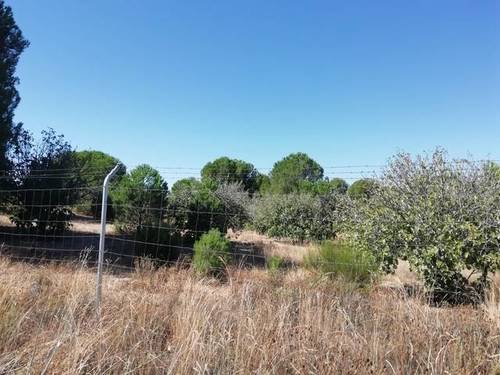 imagen 2 de Venta de finca en Cadalso de los Vidrios (Madrid)