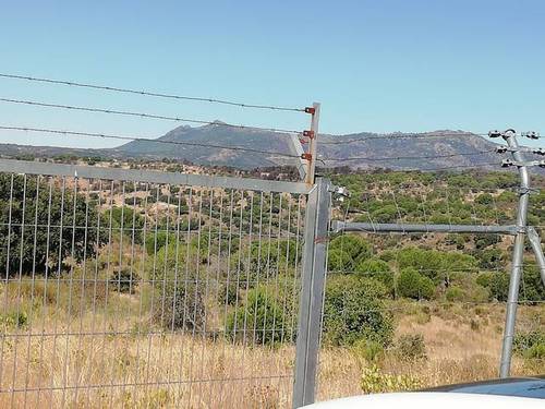 imagen 3 de Venta de finca en Cadalso de los Vidrios (Madrid)
