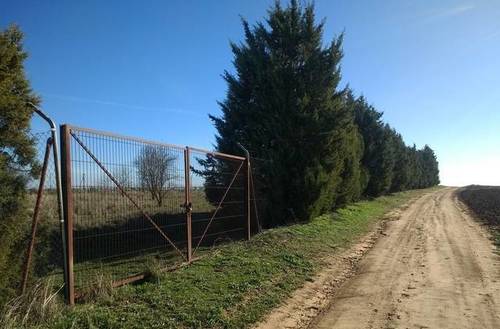 imagen 2 de Venta de finca en Chinchón (Madrid)