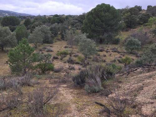 imagen 1 de Venta de bonita finca en San Martín de Valdeiglesias (Madrid)
