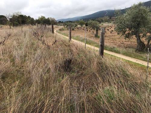 imagen 1 de Venta de bonita finca en San Martín de Valdeiglesias (Madrid)