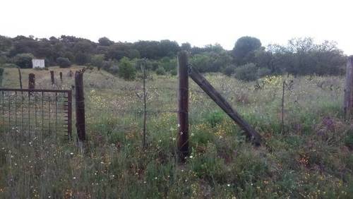 imagen 3 de Venta de bonita finca en San Martín de Valdeiglesias (Madrid)