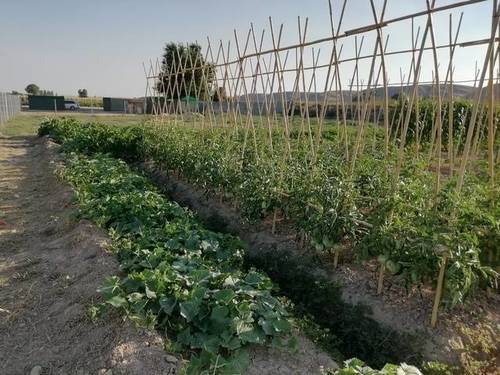 imagen 1 de Venta de parcelas en Ciempozuelos (Madrid)