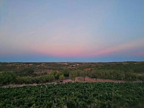 imagen 5 de Venta de magnífica finca en Campo Real (Madrid)
