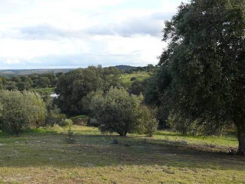 imagen 1 de Venta de finca en Colmenar del Arroyo (Madrid)