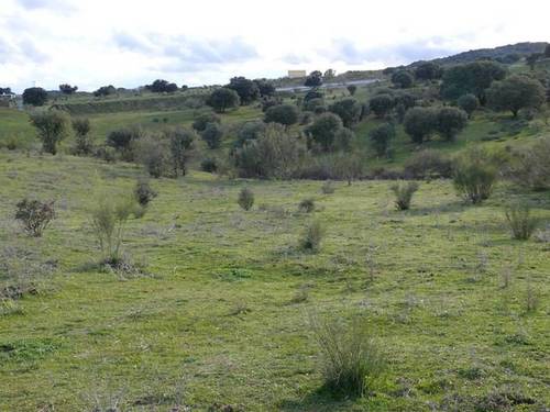 imagen 1 de Venta de finca en Colmenar del Arroyo (Madrid)