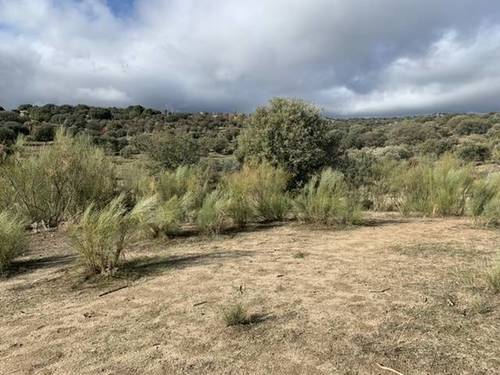 imagen 2 de Venta de finca en Colmenar del Arroyo (Madrid)