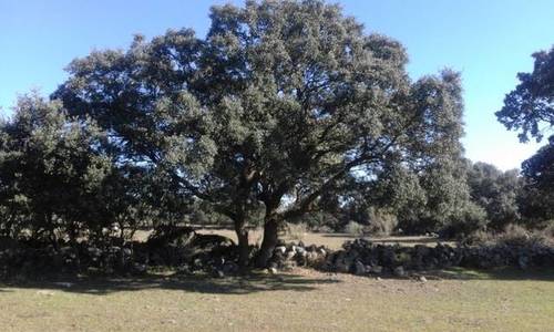 imagen 1 de Venta de finca en Chapinería (Madrid)