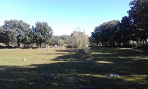 imagen 1 de Venta de finca en Chapinería (Madrid)