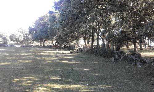 imagen 2 de Venta de finca en Chapinería (Madrid)