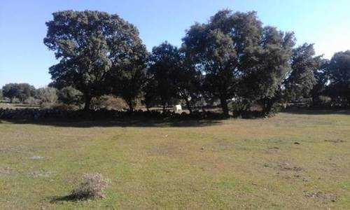 imagen 3 de Venta de finca en Chapinería (Madrid)