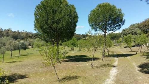 imagen 1 de Venta de preciosa finca en Colmenar del Arroyo (Madrid)
