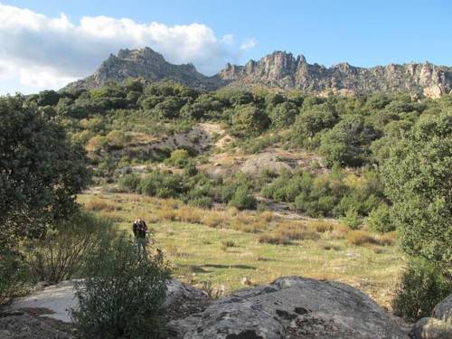 imagen 1 de Venta de estupenda finca en La Cabrera (Madrid)