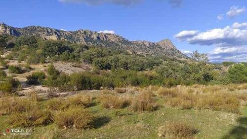 imagen 1 de Venta de estupenda finca en La Cabrera (Madrid)