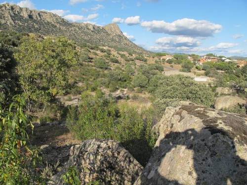 imagen 2 de Venta de estupenda finca en La Cabrera (Madrid)