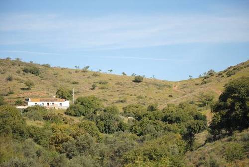 imagen 1 de Venta de finca en Junta de los Caminos (Málaga)