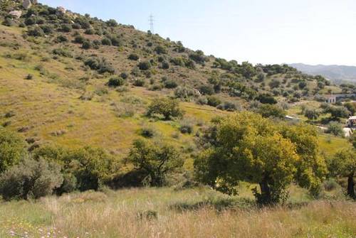imagen 1 de Venta de finca en Junta de los Caminos (Málaga)