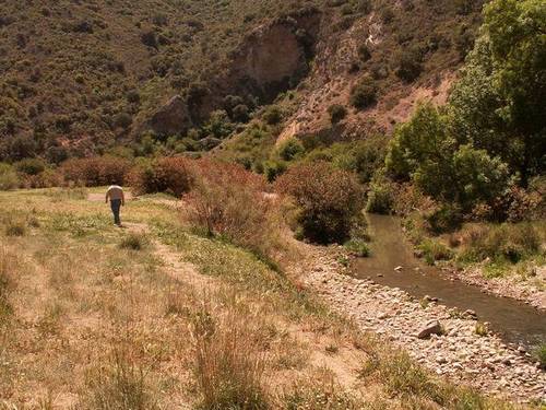 imagen 1 de Venta de finca en Villanueva del Rosario (Málaga)