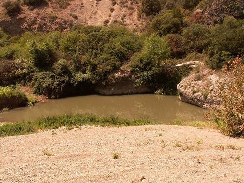 imagen 2 de Venta de finca en Villanueva del Rosario (Málaga)
