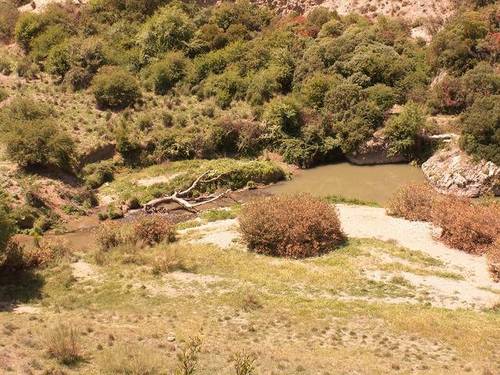 imagen 3 de Venta de finca en Villanueva del Rosario (Málaga)