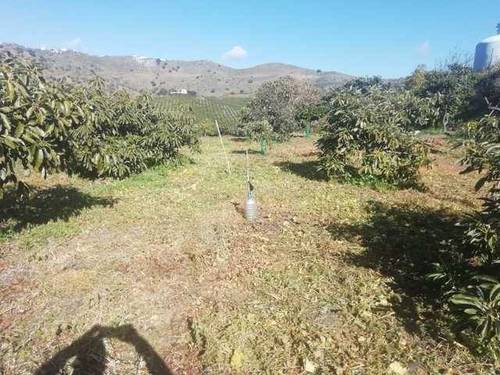 imagen 1 de Venta de terreno en Vélez-Málaga (Málaga)