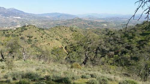 imagen 1 de Venta de finca de almendros en Guaro (Málaga)