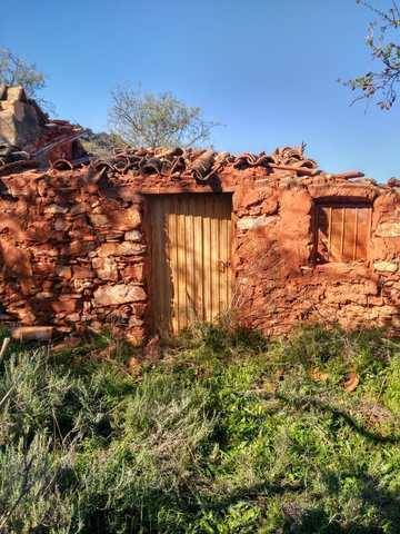 imagen 2 de Venta de finca de almendros en Guaro (Málaga)