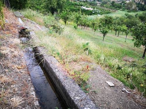 imagen 1 de Venta de estupenda finca de regadío en Tolox (Málaga)