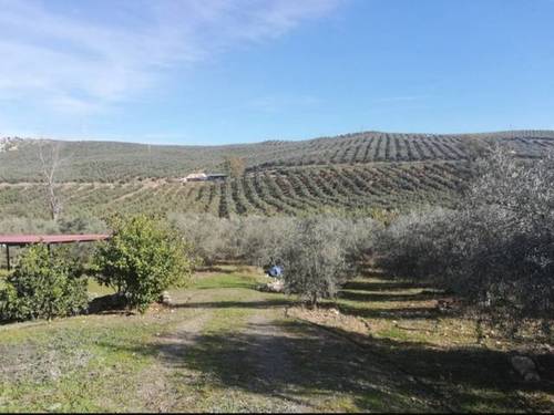 imagen 1 de Venta de magnífico terreno en Las Mellizas (Málaga)