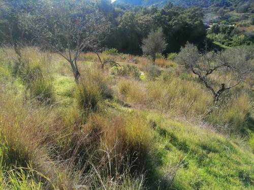 imagen 1 de Venta de finca en Marbella (Málaga)