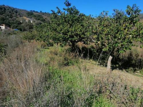 imagen 1 de Venta de finca en Marbella (Málaga)