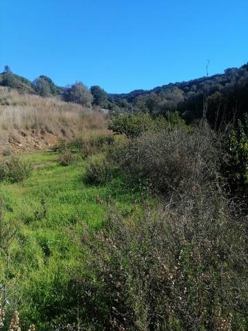 imagen 2 de Venta de finca en Marbella (Málaga)