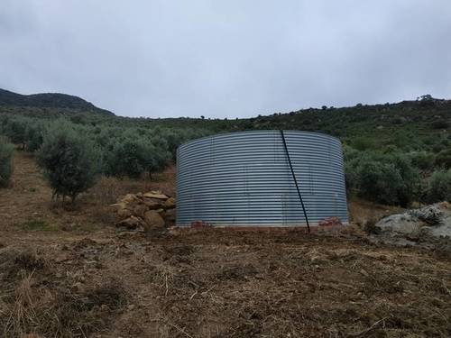 imagen 2 de Venta de campo olivar en Casabermeja (Málaga)