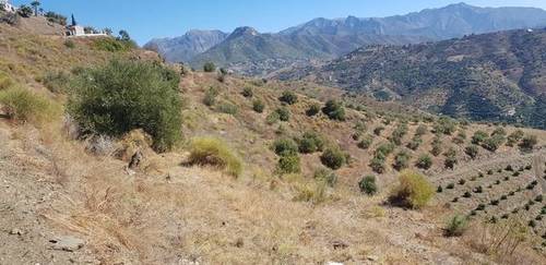 imagen 1 de Venta de finca en Torrox (Málaga)