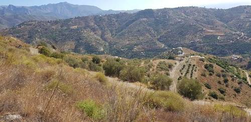 imagen 1 de Venta de finca en Torrox (Málaga)