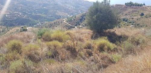 imagen 2 de Venta de finca en Torrox (Málaga)