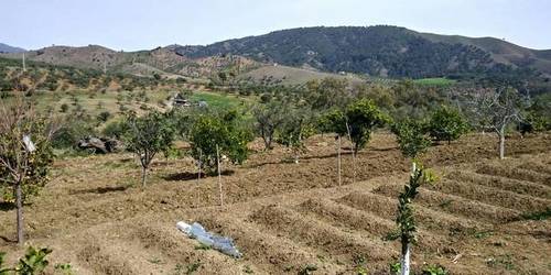 imagen 1 de Venta de estupenda finca en Casarabonela (Málaga)