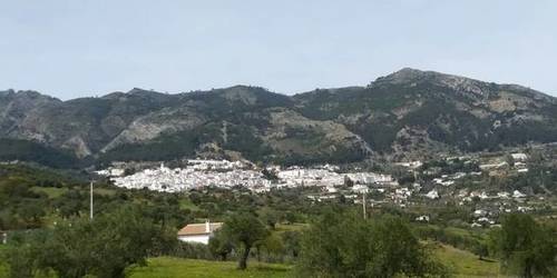 imagen 2 de Venta de estupenda finca en Casarabonela (Málaga)