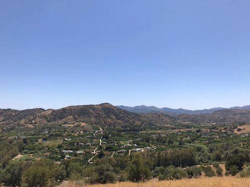 imagen 1 de Venta de finca en Coín (Málaga)