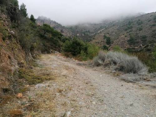 imagen 1 de Venta de finca en Nerja (Málaga)