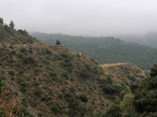 imagen 1 de Venta de finca en Nerja (Málaga)