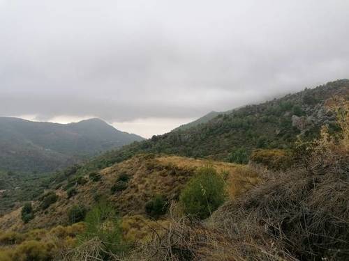 imagen 2 de Venta de finca en Nerja (Málaga)