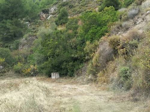 imagen 3 de Venta de finca en Nerja (Málaga)