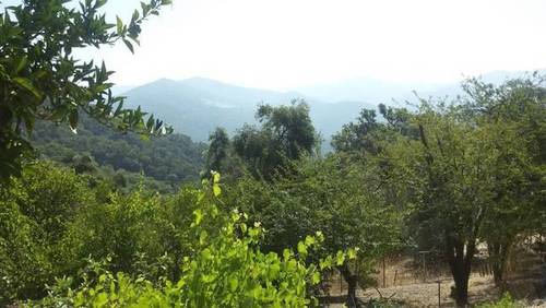 imagen 1 de Venta de finca en Benarrabá (Málaga)