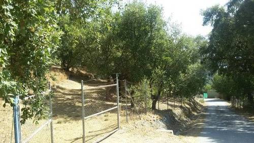 imagen 2 de Venta de finca en Benarrabá (Málaga)