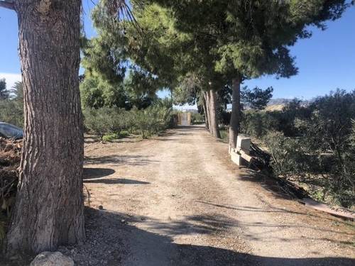 imagen 1 de Venta de terreno en Fortuna (Murcia)
