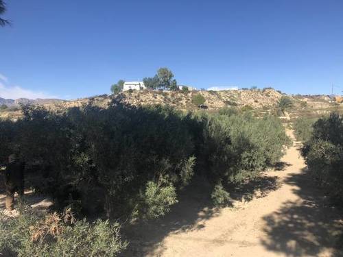 imagen 1 de Venta de terreno en Fortuna (Murcia)