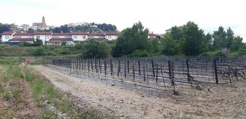 imagen 2 de Venta de finca en Lerín (Navarra)