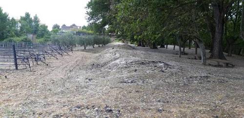 imagen 5 de Venta de finca en Lerín (Navarra)